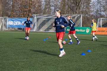 Bild 104 - wBJ Hamburger SV - Hertha BSC : Ergebnis: 2:1